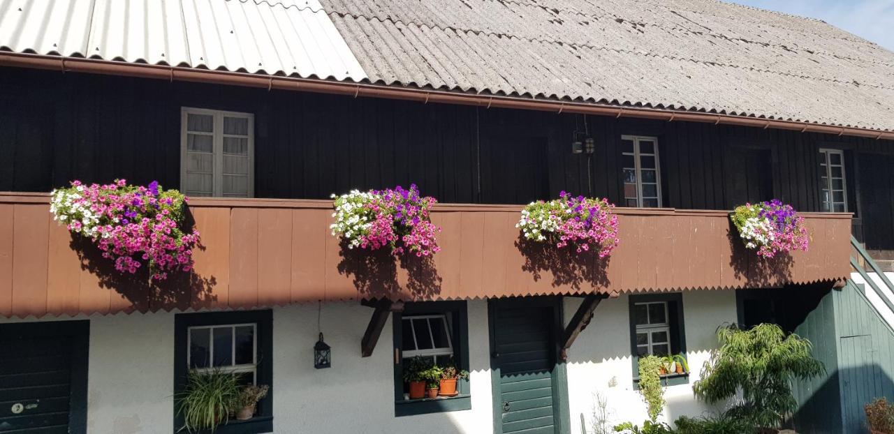 Gasthaus Sternen Post Oberried  Exterior photo